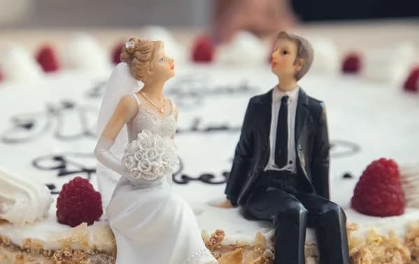 Causas de nulidad matrimonial